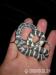 Lampropeltis getulus californidae NZ 2015 - Prodej