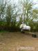 Dartmoor pony na prodej - Prodej
