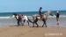Appaloosa na prodej - Prodej