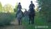 Appaloosa na prodej - Prodej