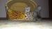 Kotáta - Prodej