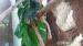  Parik pagekona rasnateho so zariadenym terariom  - Predaj