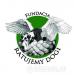Ignacy dog niemiecki do adopcji - Podarunek