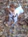 Jack Russel Terier - Darování