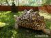 Korytnacka leopardia,Geochelone pardalis - Predaj