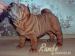 szczenięta SHAR PEI - Sprzedaż