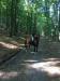 Ponúkam prenájom kobylky - Predaj