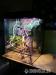 akvarium terium 3d zada stena - Predaj