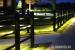 Equisafe - electric fencing for horses, HDPE - Sprzedaż