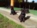 šteniatka Cane Corso - Predaj