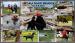 Flat coated retriever - Prodej