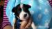 Štěňata Havanského psíka s PP - Prodej