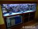 3D pozadia do akvária a terária  - Predaj
