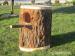 Naturalna budka lęgowa z pnia  - Sprzedaż