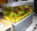 Aquarium komplett 728 l mit Unterschrank - Verkauf