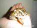 Griechische Landschildkröten, Testudo hermanni - Verkauf