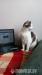 Tosia i Lolek porzucone w pustostanie - Podarunek