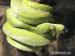 Morelia viridis - pytón zelený  - Predaj