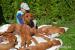 Rhodesian ridgeback - Predaj