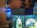 Odpěňovač pro mořské akvárium - Prodej
