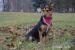 Roxy hľadá nový domov – na adopciu - Darovanie