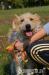 Texas hľadá nový domov – na adopciu - Darovanie