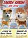 Akita inu s PP - Predaj