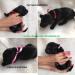 Flat Coated Retriever s PP - Prodej