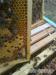 Nástavkové úly nové generace 2019 i se včelstvy - Prodej