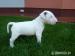 Bullterrier, bullterier, bulterier - Predaj