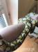 python reticulatus mochino - Predaj