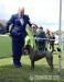Thajský ridžbek Thai Ridgeback Dog s PP - Predaj
