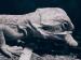 Pogona Vitticeps/Agama Vousatá  - Prodej