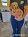 Lovely poodle dogs were born in home kennel - Sale