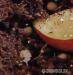 Lisachatina fulica albino body  - Prodej