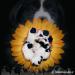 Landseer  - Prodej
