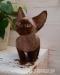 Kocięta Devon Rex wyjątkowe kolory mega miziaste! - Sprzedaż