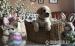 Labrador retriver s PP (smetanová) - Prodej