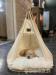 Reinrassige Golden Retriever-Welpen - Verkauf