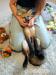 Domestic red fox, tame puppies 2026 - Prodej