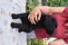 Flat coated retriever s PP - Prodej