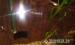 375-L sügéres akvárium led világítással - Eladás