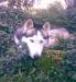 Szibéria Husky Fedezne - Eladás