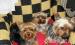 Yorkshire terrier kan kutyus - Eladás